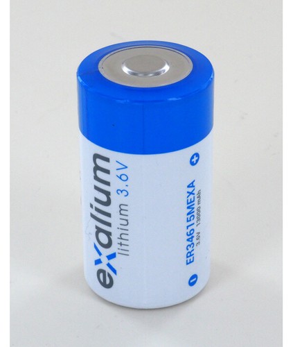 Pile lithium 13ah d - 13ah,